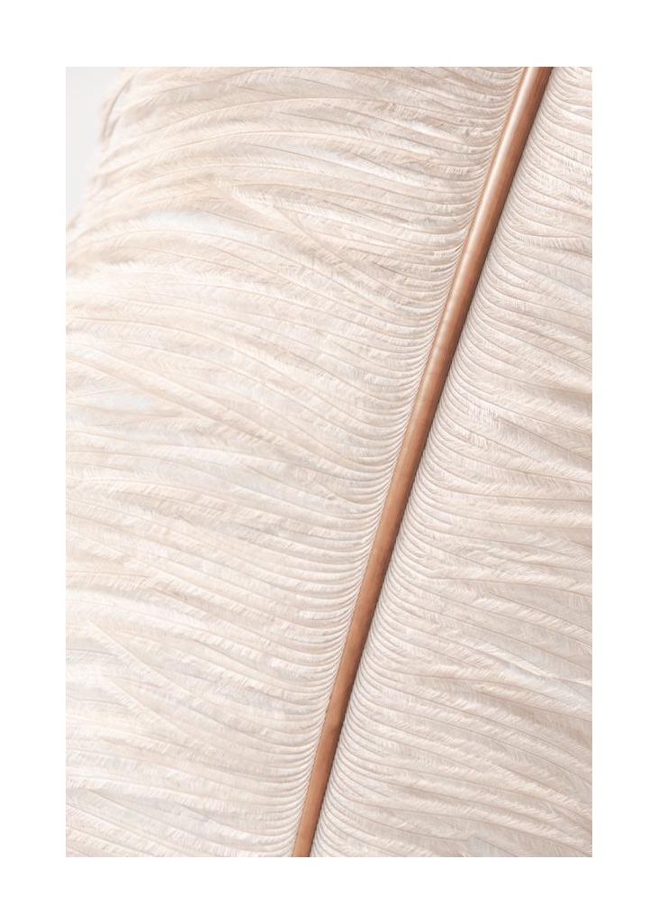 Feather 2