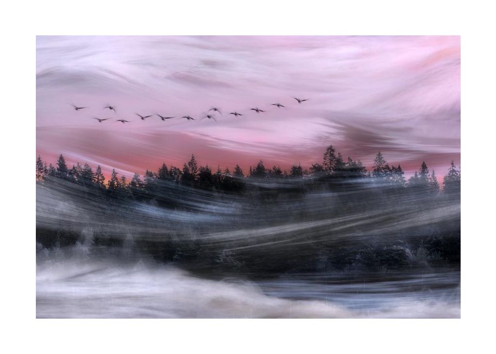 Leaving at dawn