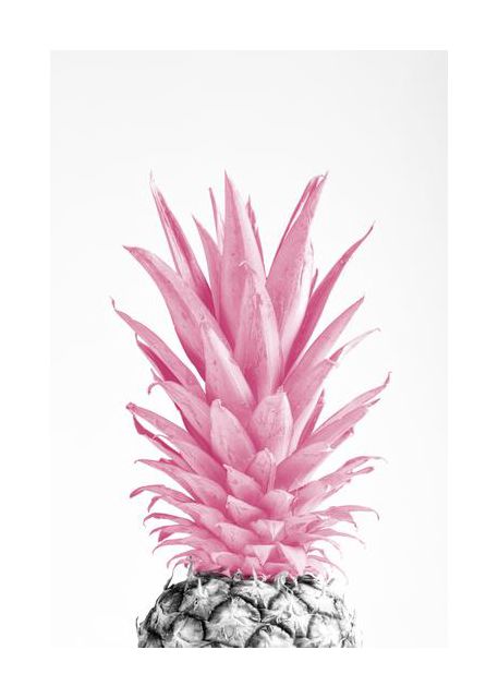 Pinapple Pink 03