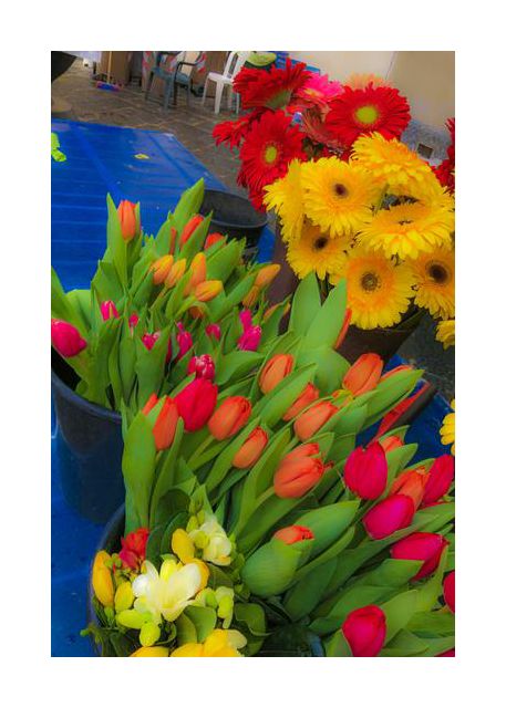 power of flowers