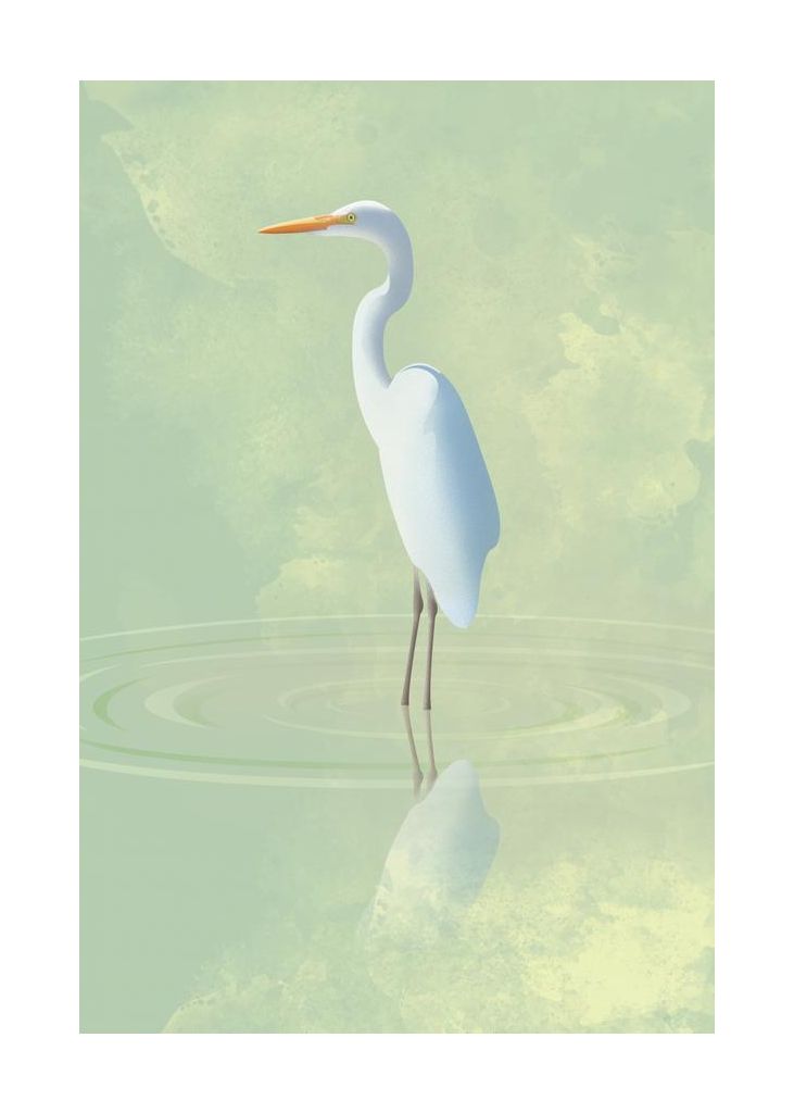 Heron