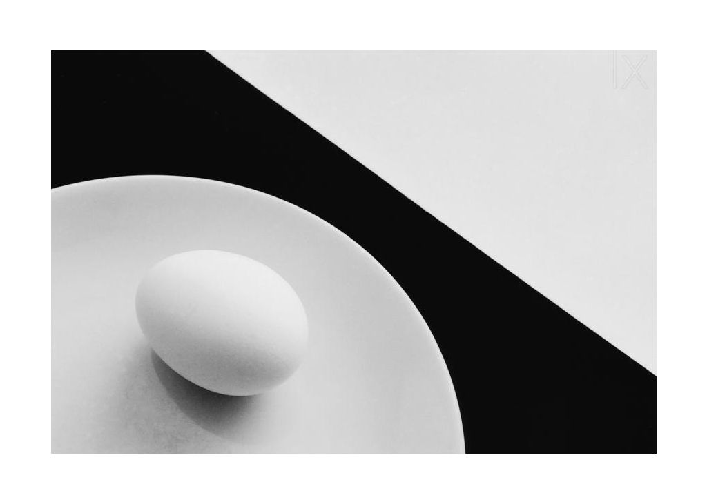 Still Life With Egg
