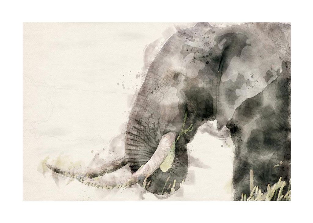 Abstract African Elephant Watercolor Art