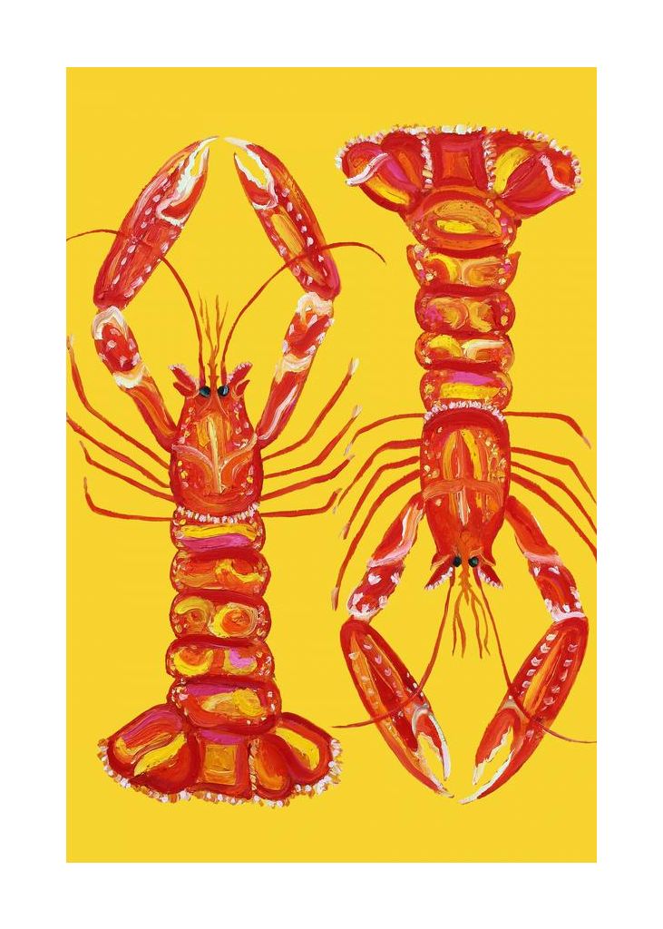 Langoustines On Yellow