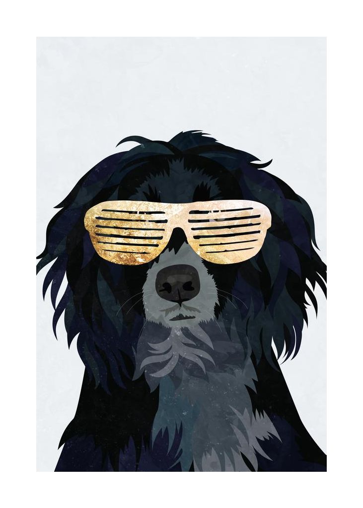 Hiphop Cockerspaniel