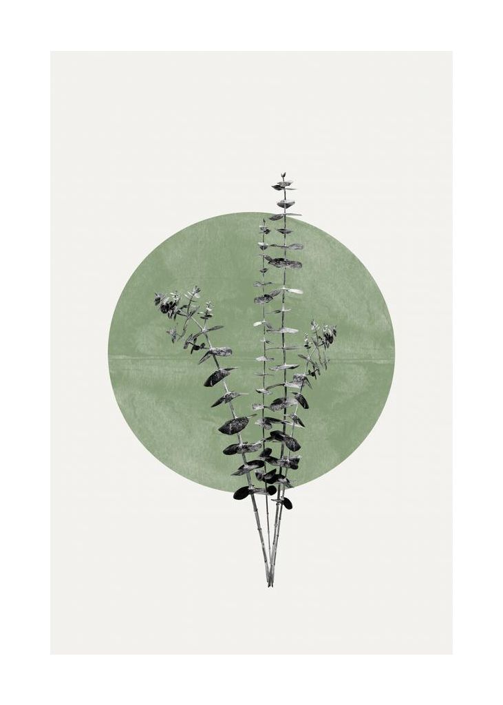 Eucalyptus And Green Moon
