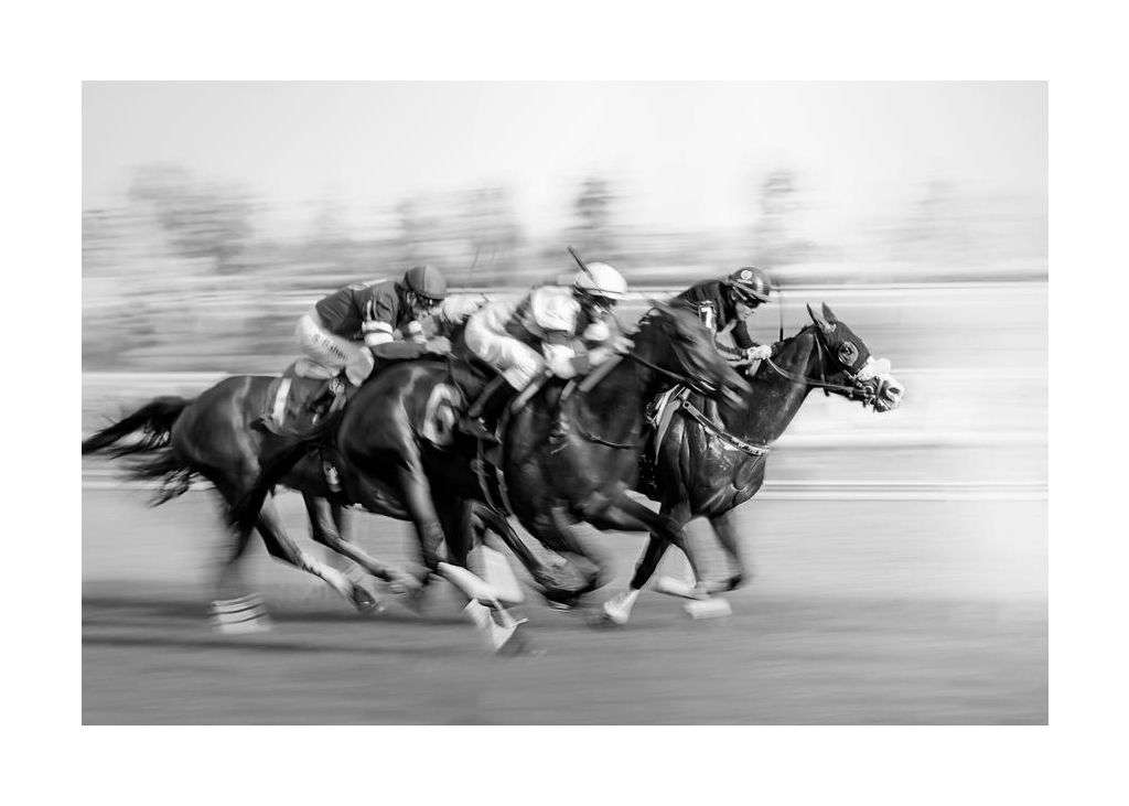 Horse Racing Queens Plate
