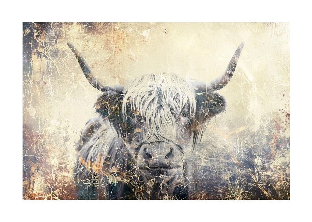 Cow Highland Illustration Art 04