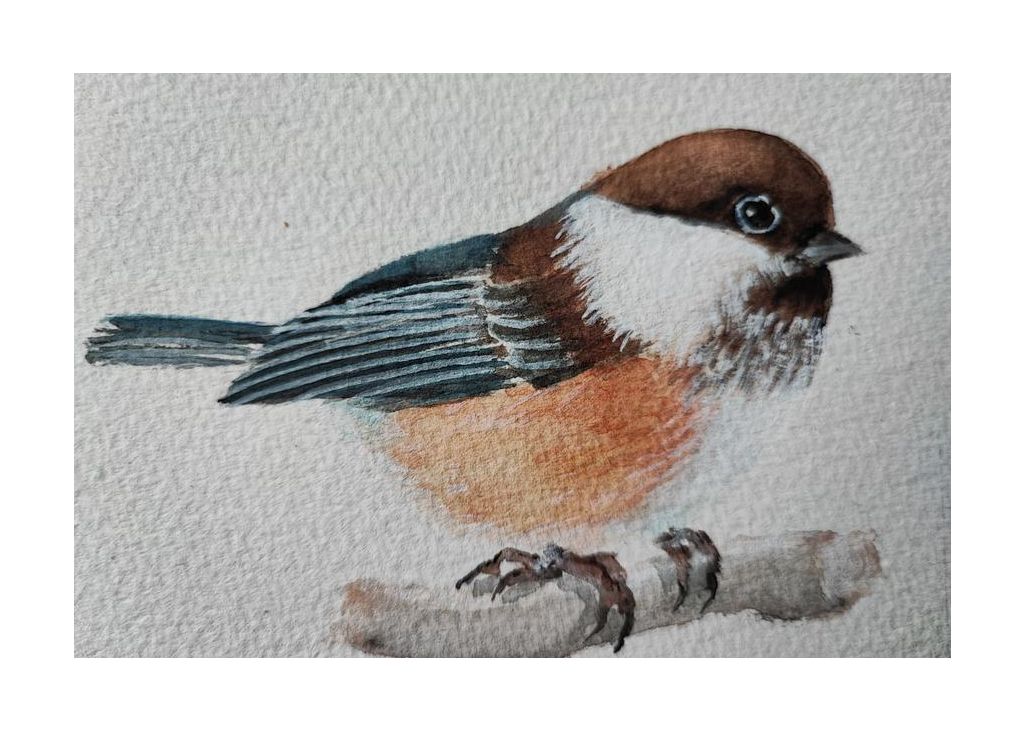 Small Bird 2