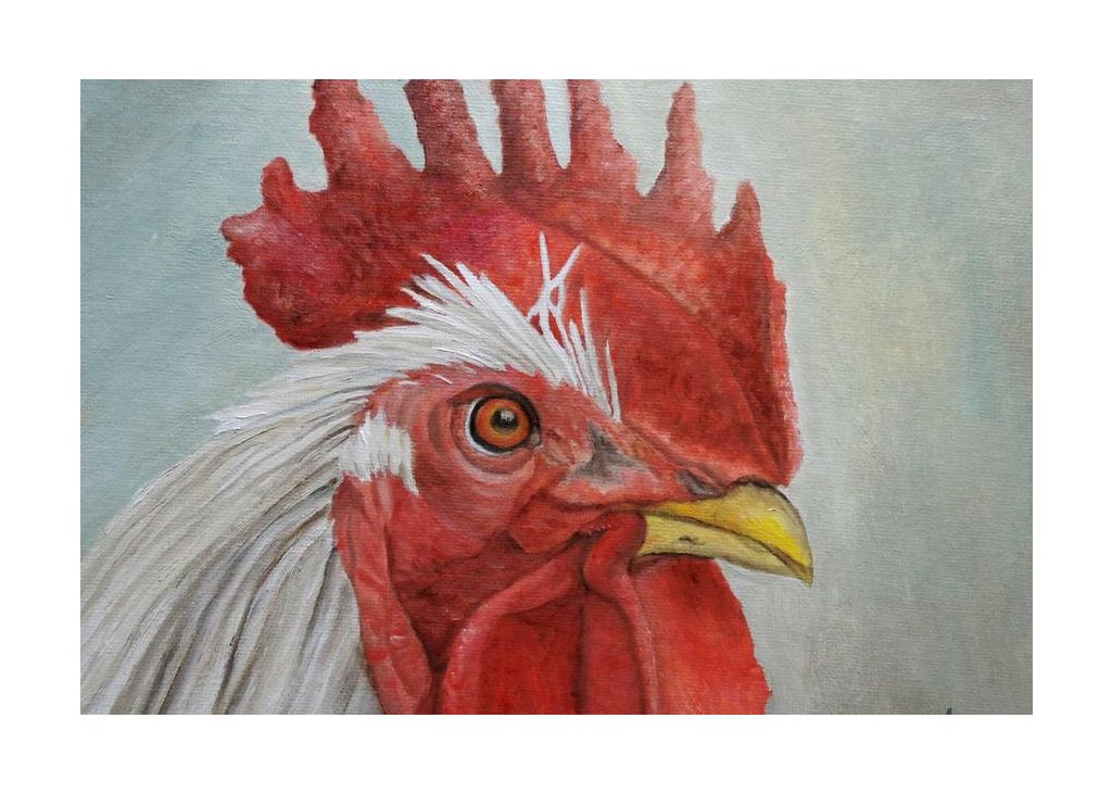 Mister Rooster