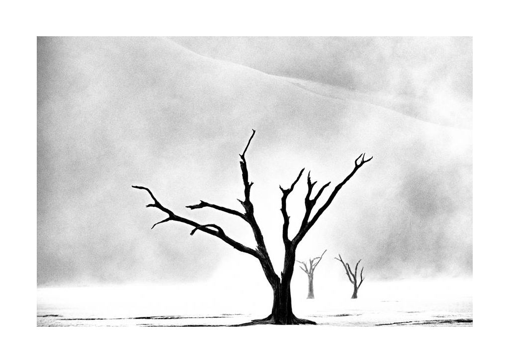 Namibia The Spirit Of Wilderness