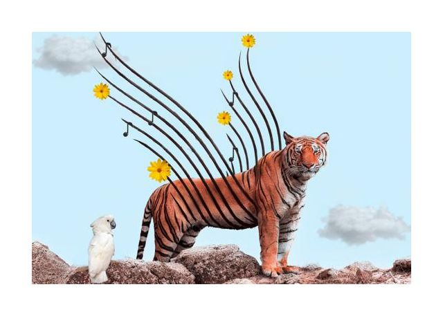 Tiger