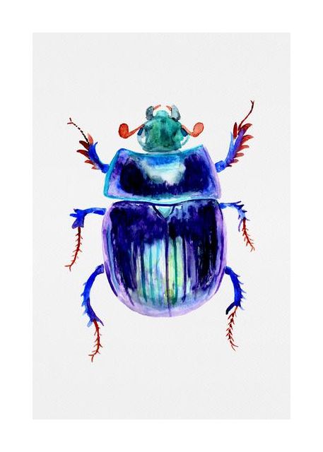 Earthboring Dung Beetle Or Anoplotrupes Stercorosus