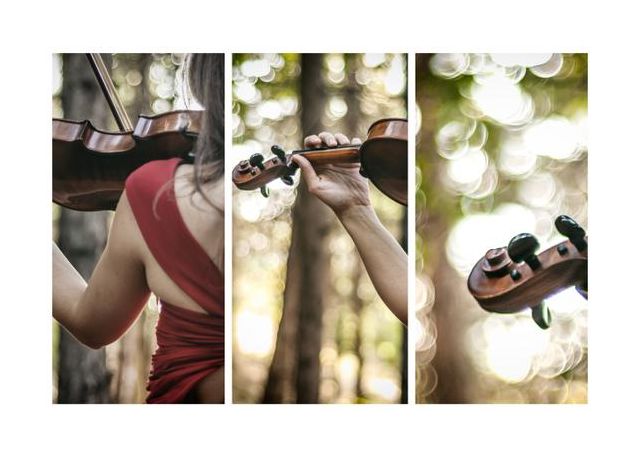 Notes In The Forest