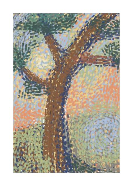 Summer Tree